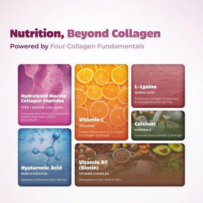 Punh: Marine Collagen Powder with Peptan®